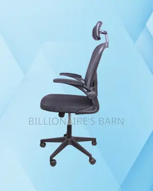 Grey Ergonomic Office Chair | Ergonomic Nylon Castors
