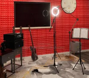 Classroom Acoustic Panel