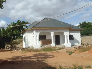 Painting and Renovating Houses