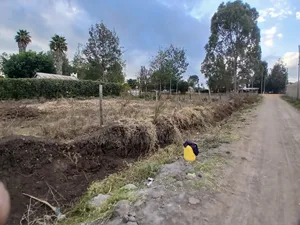 Prime Eighth Acre Plot 50 Metres Off Tarmac in Matasia