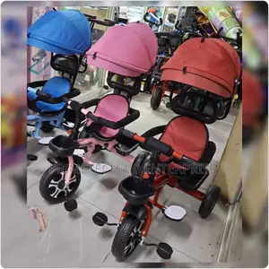 Tri Circle With Push Handle and Canopy