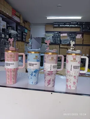 Fancy Stanley Mugs