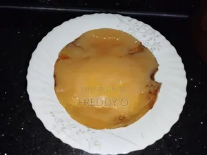 Kombucha Scoby