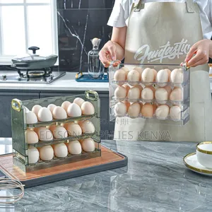 Egg Storage Organizer Fridge Eggs Organizers Pantry Egg Stand