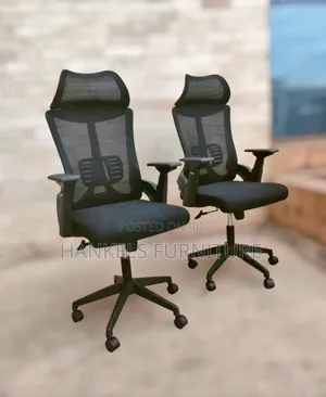 Ergonomic Mesh Orthopaedic Chair