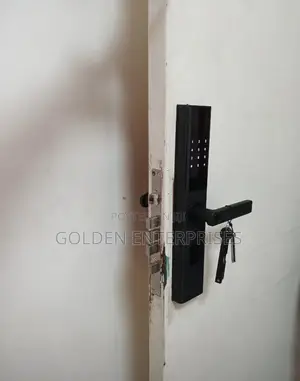 Wifi Smart Access Bometric Intelligent Door Lock