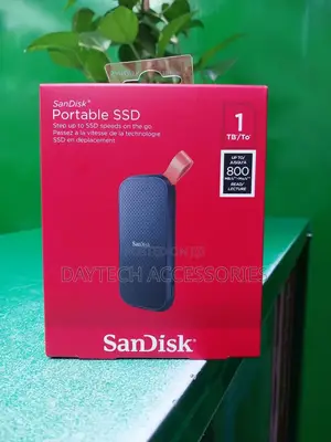 Sandisk E30 1tb External Portable Ssd Drive - 800mbps