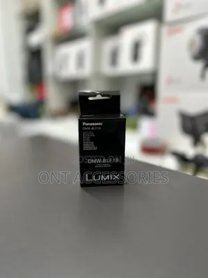 Panasonic Dmw Blf 19 Battery