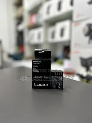 Panasonic Dmw Blf 19 Battery