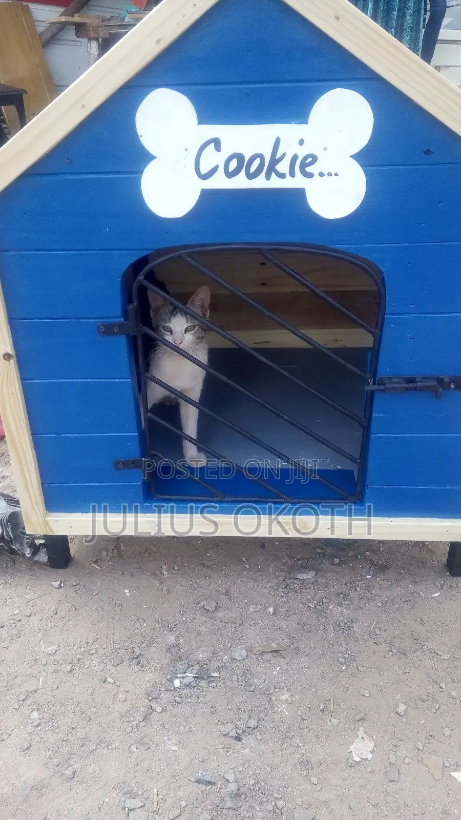 Dog Kennel