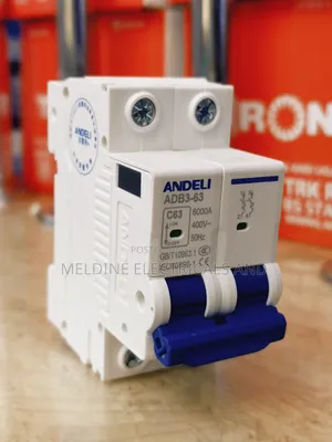 Andeli Double Pole 63a