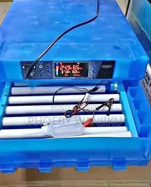 Ideal Incubator/64 Eggs Incubator Machine