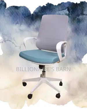 White Ergonomic Mesh Office Chair | Executive Mesh Backrest