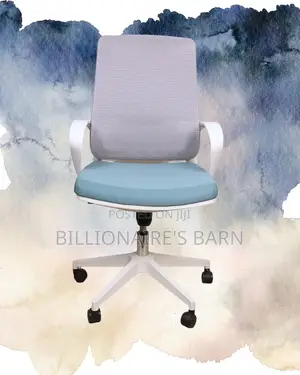 White Ergonomic Mesh Office Chair | Executive Mesh Backrest