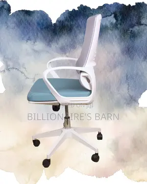 White Ergonomic Mesh Office Chair | Executive Mesh Backrest