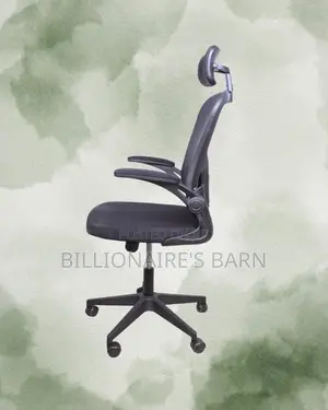 Grey Ergonomic Office Chair (Ergonomic) — Price Drop Today