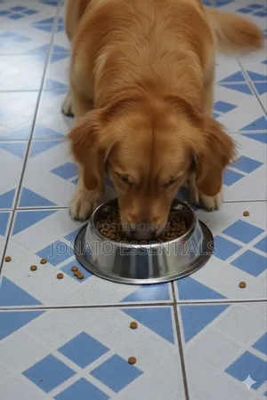 Vinod Stainless Steel Dog Bowl, Stainless Steel Dog Feeding Bowl