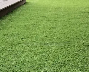 Eco Friendly Grass Carpet in Nairobi – Odeon Area