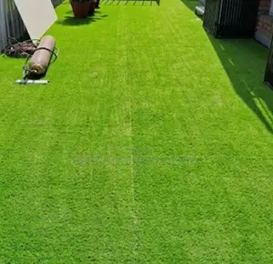 Transform Your Space With Premium Grass Carpets – Odeon, Nairobi