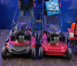 Emas Lawnmower Machine 5.5hp Engine
