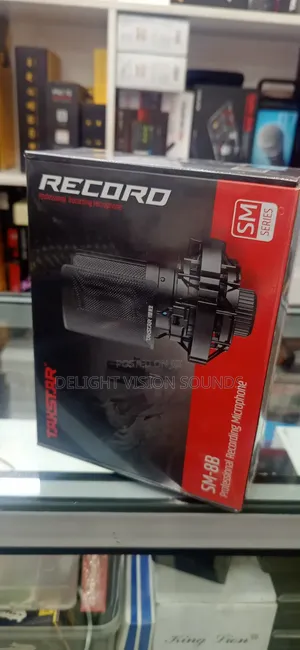 Takstar Studio Mic