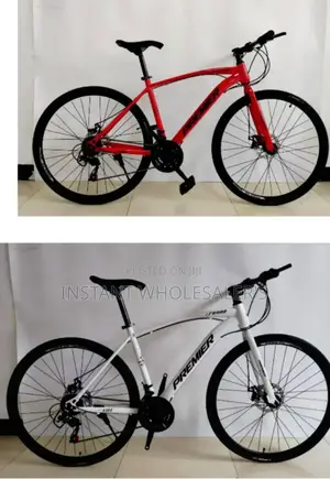 Premier Riding Bikes Size 27"