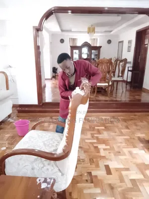 Sofa Cleaning Services You Can Imagine Of