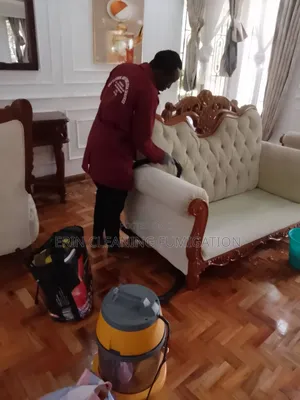 Cleaners in Sofa and General House Westland
