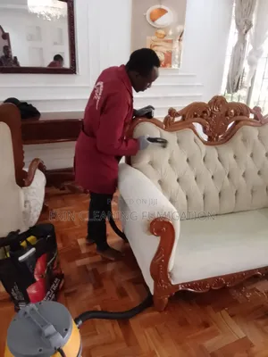 Sofa Stain Removing and Drying