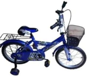 Lion King Kids Bike Size 12