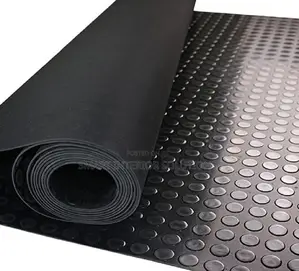 Indoor Rubber Coin Carpet