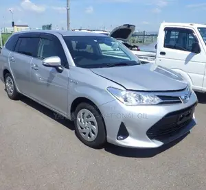 Toyota Corolla Fielder 2019 Silver