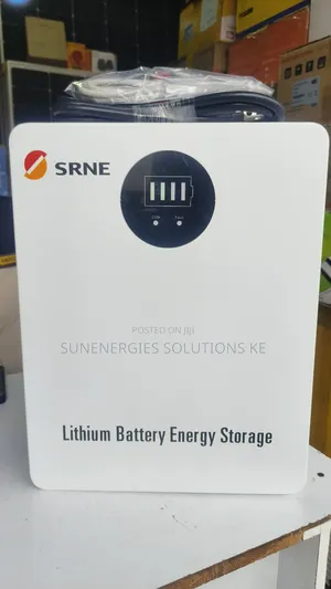 2.56kwh 25.6v 100ah Srne Lithium Battery