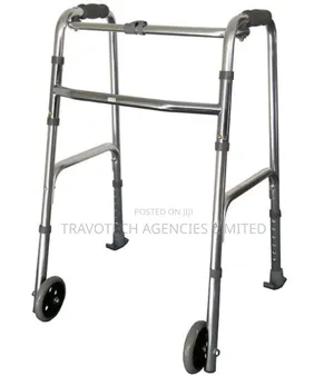 Walking Frame With Caster