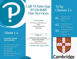 Cambridge/ Pearson Primary, Secondary, Igcse a Level Tuition