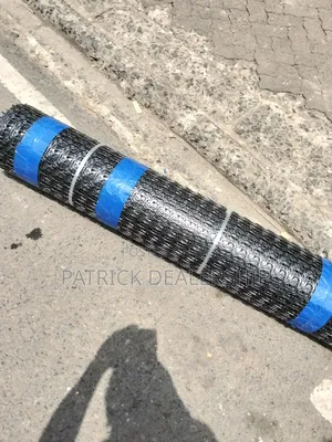 Geogrid Mesh