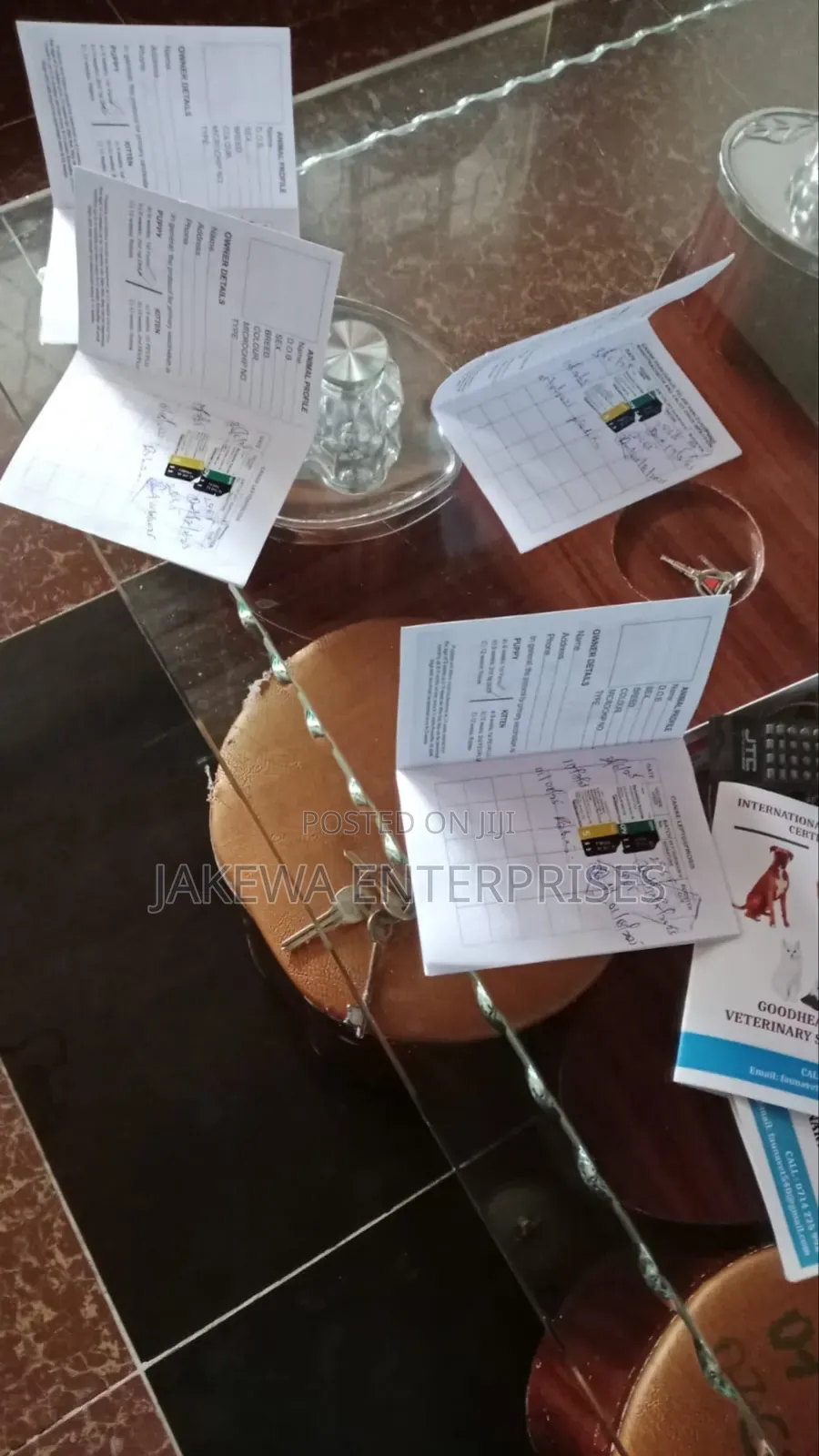 Veterinary Services and Check Up