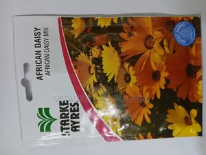 African Daisy Mix