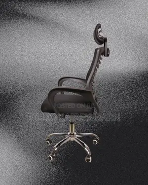 Plush Secretarial Mesh Chair | Lumbar Support