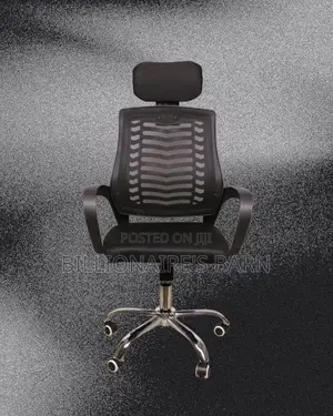 Plush Secretarial Mesh Chair | Lumbar Support