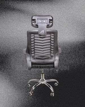 Plush Secretarial Mesh Chair | Lumbar Support