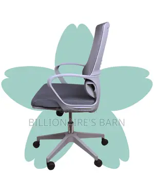 Quiet-Roll Grey Ergonomic Mesh Office Chair | Adjustable Height
