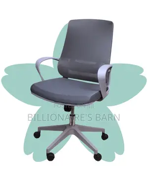 Quiet-Roll Grey Ergonomic Mesh Office Chair | Adjustable Height