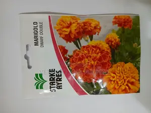 Marigold Dwarf Double