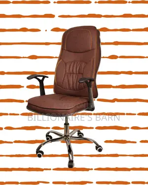 Plush Ergonomic Executive Leather Chair | Lumbar Support