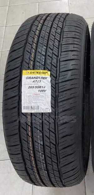265/55r19 Dunlop