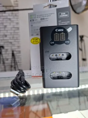 Caisi Np-Bx1 Dual Charger
