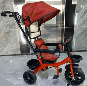 Tricycle With Canopy
