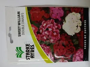 Sweet William Double Dwarfs