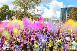 Colourfest Powders Smoke Bombs